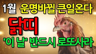 📢 '닭띠' 주목! 2025년 1월 닭띠 운명이 바뀔 큰일이 찾아옵니다ㅣ이 '날짜' 절대 놓치지 마세요!ㅣ57년 69년 81년 93년  띠 운세