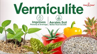 Casa De Amor Best Quality Vermiculite for Gardening \u0026 Hydroponics