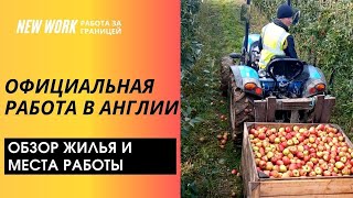 ОФИЦИАЛЬНАЯ РАБОТА В АНГЛИИ! Рабочий контракт на 6 месяцев