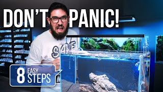 How To Start Your Aquarium In 8 EASY Steps | Technical Guide with Tommy
