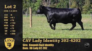 Linz Lot 2 - CAV Lady Identity 202-4202