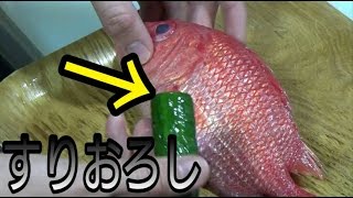 『ガラスのウロコを持つ魚』エビスダイさばいて食べてみた！