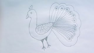 How to draw a beautiful peacock step by stepToturial