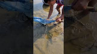 নতুন কৌশলে মাছ ধরা । Catching😱😱🐟 #reelsvideoシ #reels  #bangladeshfishing #fishing