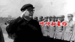 叶帅一向爱才，1957年他唯一一次批评粟裕，是因为什么事？