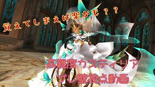 【トーラム】高難度カスティリア ブレ壁視点動画