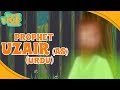 Prophet Stories In Urdu | Prophet Uzair (AS) Story | Quran Stories In Urdu | Urdu Cartoons