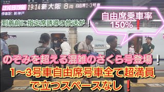 【お盆台風7号西日本横断前日の岡山駅・のぞみを超える混雑⁉】さくら566号自由席乗車率150%突破❗岡山駅からだと乗車困難なため指定席誘導を実施し乗車希望の方をなんとしてでも乗車させて発車