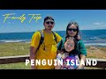 Family Trip to Penguin Island Western Australia