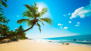 Bossa Nova: Tropical Beach Ambience with Seaside Cafe Jazz Music & Ocean Waves Sounds for Relaxation