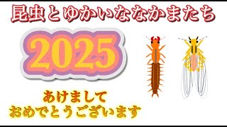 2025年もよろしくお願いします