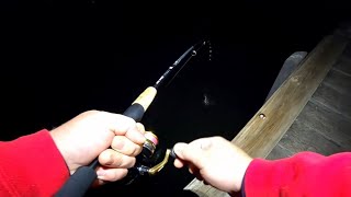 Night-time beats day-time | Land based fishing | Melbourne | Victoria