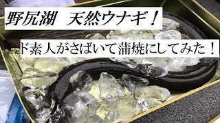 野尻湖　天然うなぎ！　ド素人がさばいて蒲焼にしてみた