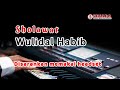 Wulidal Habib