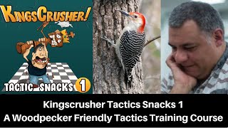 Kingscrusher Chess Tactic Snacks 1 || A stunningly brilliant fun interactive course at Chessable!