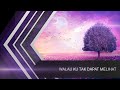 WALAU KU TAK DAPAT MELIHAT COVER + VIDEO LIRIK