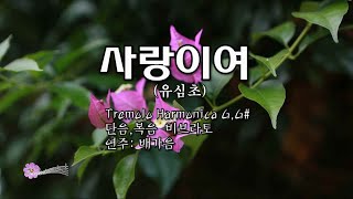 사랑이여(유심초)/ #하모니카연주/#비브라토/ #Tremolo Harmonica/#7080감성곡/#배가음