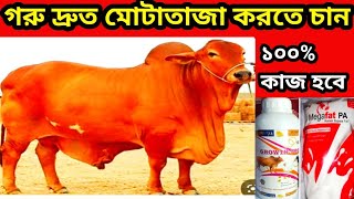 গরু মোটাতাজা করণ পদ্ধতি  | সঠিক নিয়মে দ্রুত মোটা করার ঔষধ। Cow Growth Formula | AR Dairy Health Care