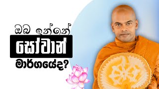 සෝවාන් මාර්ගය | පූජනීය කිරිවත්තුඩුවේ අරියදස්සන ස්වාමීන් වහන්සේ