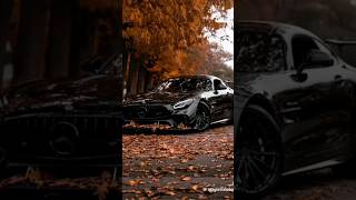 отправь это фанату мерса #tiktok #shorts #shortvideo #mercedes