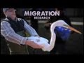 How we know birds migrate!