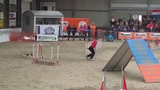 IFCS WAC 2016: Joy \u0026 Chiqui in Team Standard Agility (Day 4)