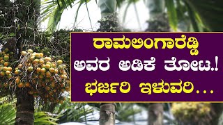 ಅಡಿಕೆ ಗಿಡಗಳು 3 ವರ್ಷಕ್ಕೆ ಹೊಂಬಾಳೆಯೊಡೆಯಲು ಇಲ್ಲಿದೆ ತಂತ್ರ