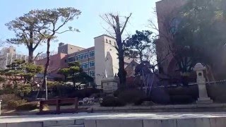 JKP cTV 서울 명동 성당 전경 Seoul myeong dong Catholic Church complete