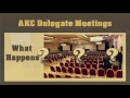 akc delegate