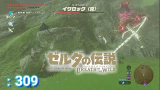 ゼルダの伝説 冒険記＃309 イワロック対ガーディアン 1【ゼルダの伝説 ブレスオブザワイルド】