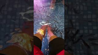 കാലിലെ അഴുക്ക് തിന്നുന്ന മീനുകൾ🐬🐬 #fishspa #trending #viral #youtubeshorts #fishpedicure  #shorts