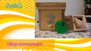 Обзор мини-нуклеуса