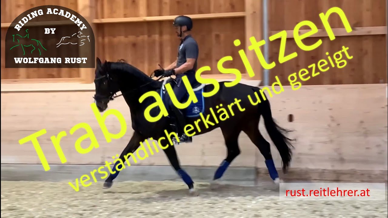 F4 Pferde Im Trab Aussitzen Lernen Als Reiter Pferde Im Trab Treiben