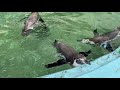 【散策動画】スタッフの愛を感じる桂浜水族館へ行ってみた