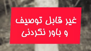 ⚠️ غیرقابل توصیف ؛ زبان قاصر از وصف این هنر