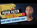 Ada 16 Tanda Setelah menggunakan PATEN GOLD pada SAWIT JANTAN