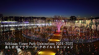 Ashikaga Flower Park, one of Japan's three major illuminations