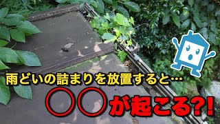 雨樋が詰まるとどうなるの？ 原因と解消方法を紹介します！