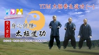 YDM太極養生道功(一)