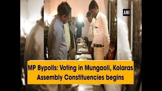 MP Bypolls: Voting in Mungaoli, Kolaras Assembly Constituencies begins - Madhya Pradesh News