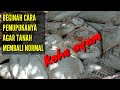 Cara pemupukan sawit menggunakan kohe ayam@Kopi Inspirasi81