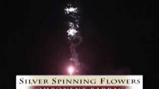 Silver Spinning Flowers (Victory Fireworks Canada, Mystical Fireworks)