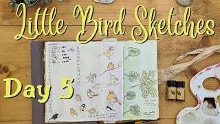 Fast Bird Sketches | Nature Journal Day 5 | Nature Journaling With The Daily Nature Journal