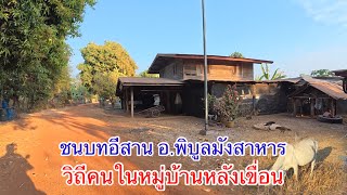 วิถีคนในหมู่บ้านหลังเขื่อนสิรินธร บ้านโนนคูณ อ.พิบูลมังสาหาร จ.อุบลราชธานี