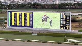 【現地撮影】2022マイルCS　5階C指定から撮影　セリフォス #競馬 #阪神競馬場 #jra