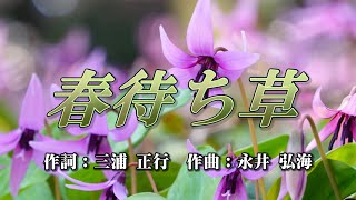 春待ち草　作詞：三浦正行　作曲：永井弘海　歌手募集！