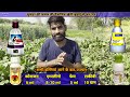 complete information about beetroot cultivation. how to cultivate beetroot beetroot farming bit farming