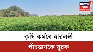 Kaliabor News : কলিয়াবৰৰ ব্ৰহ্মপুত্ৰৰ বালিচৰত কৃষি কৰ্মৰে স্বাৱলম্বী পাঁচজনকৈ যুৱক | N18V