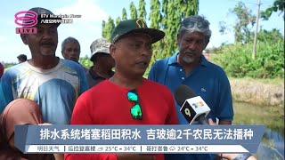 排水系统堵塞稻田积水  吉玻逾2千农民无法播种【2023.05.28 八度空间华语新闻】