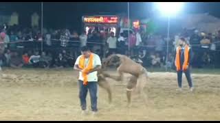 Gani malerkotla vs yudister baran kusti dangal # live upper Dehlan Himachal kusti dangal 27 oct